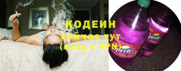 соль ск Алзамай