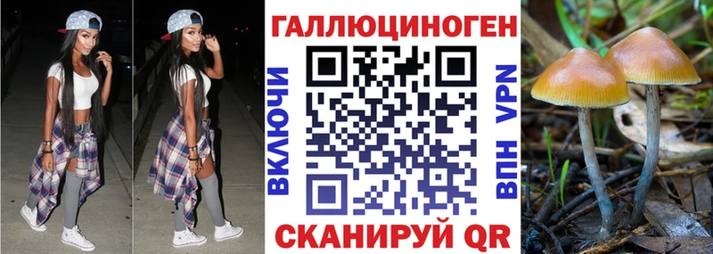 shop как зайти  как найти наркотики  Беслан  Псилоцибиновые грибы GOLDEN TEACHER  ссылка на мегу ссылка 